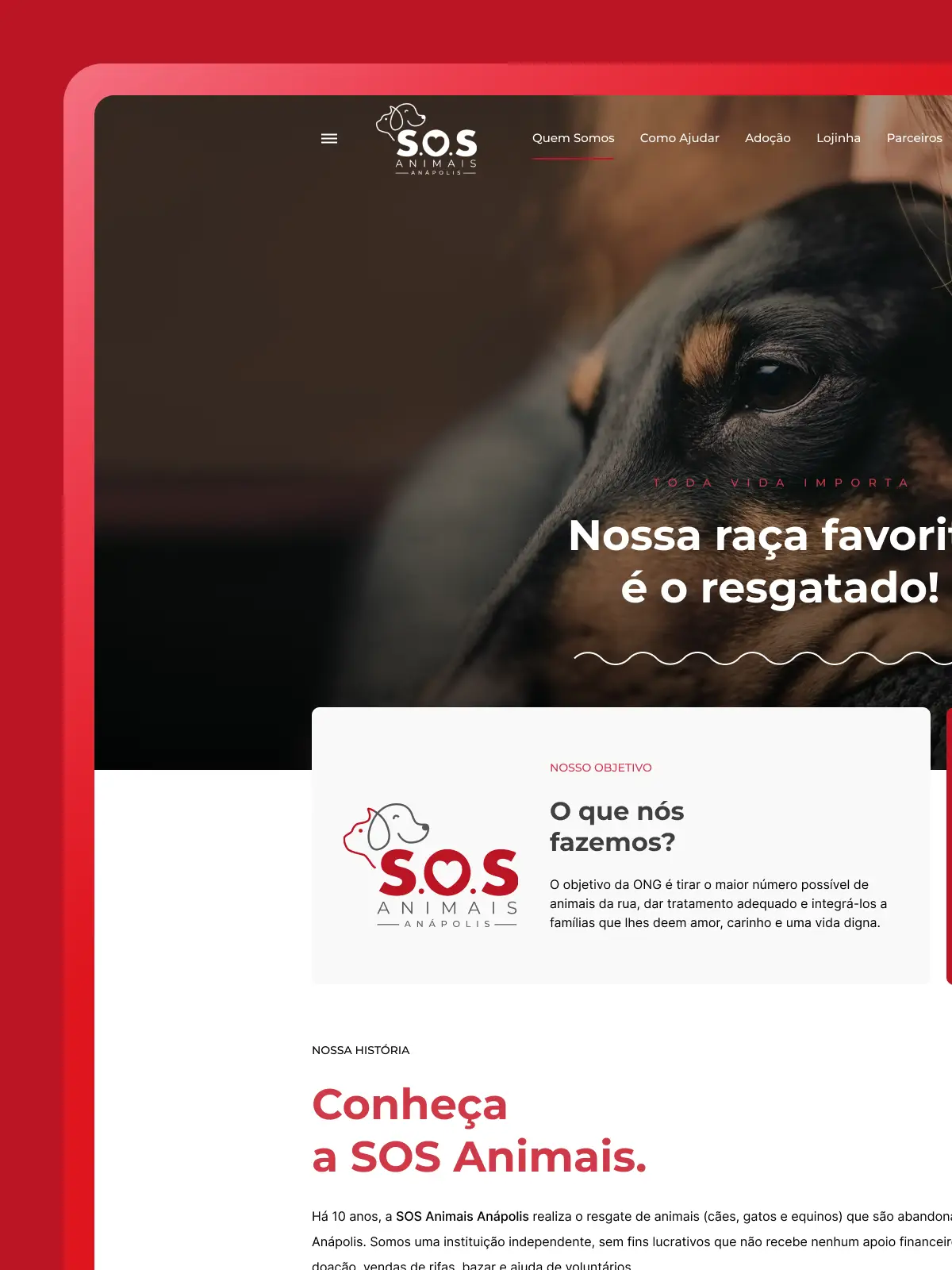Projeto pro bono SOS Animais desenvolvido pela Intos